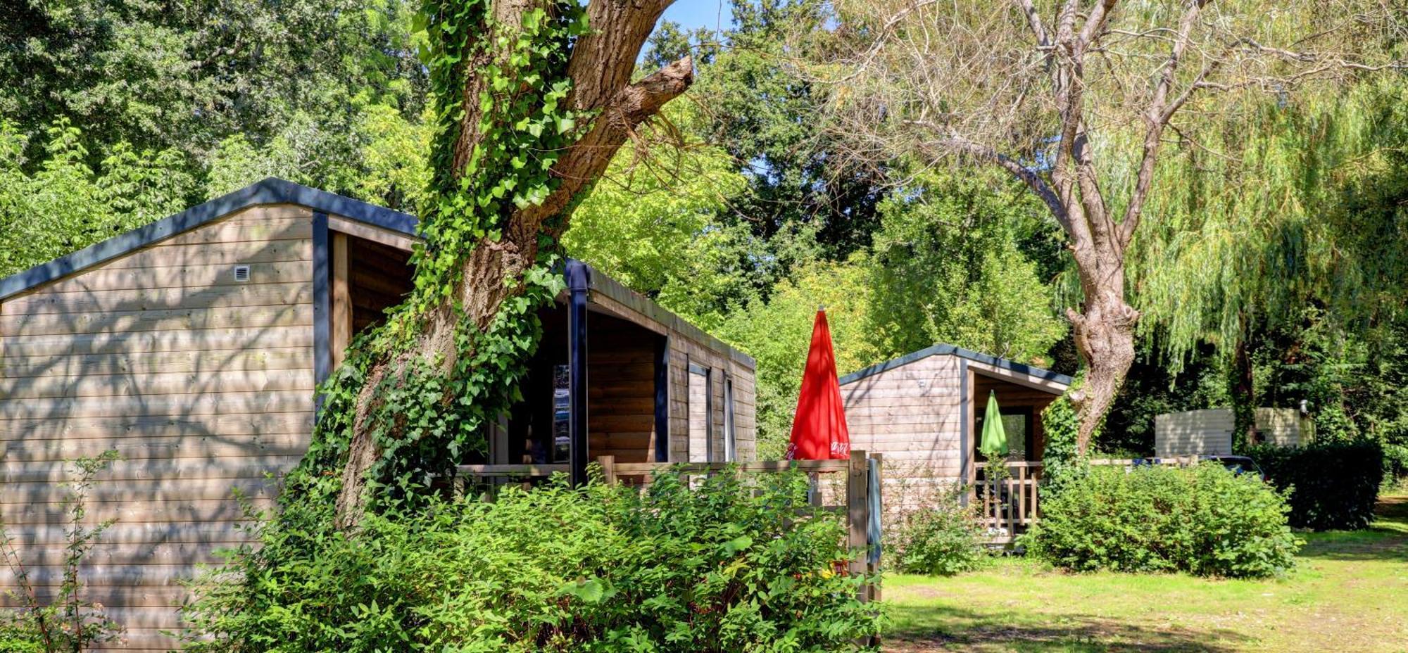 Camping De La Plage Benodet - 400 Metres De La Plage ภายนอก รูปภาพ