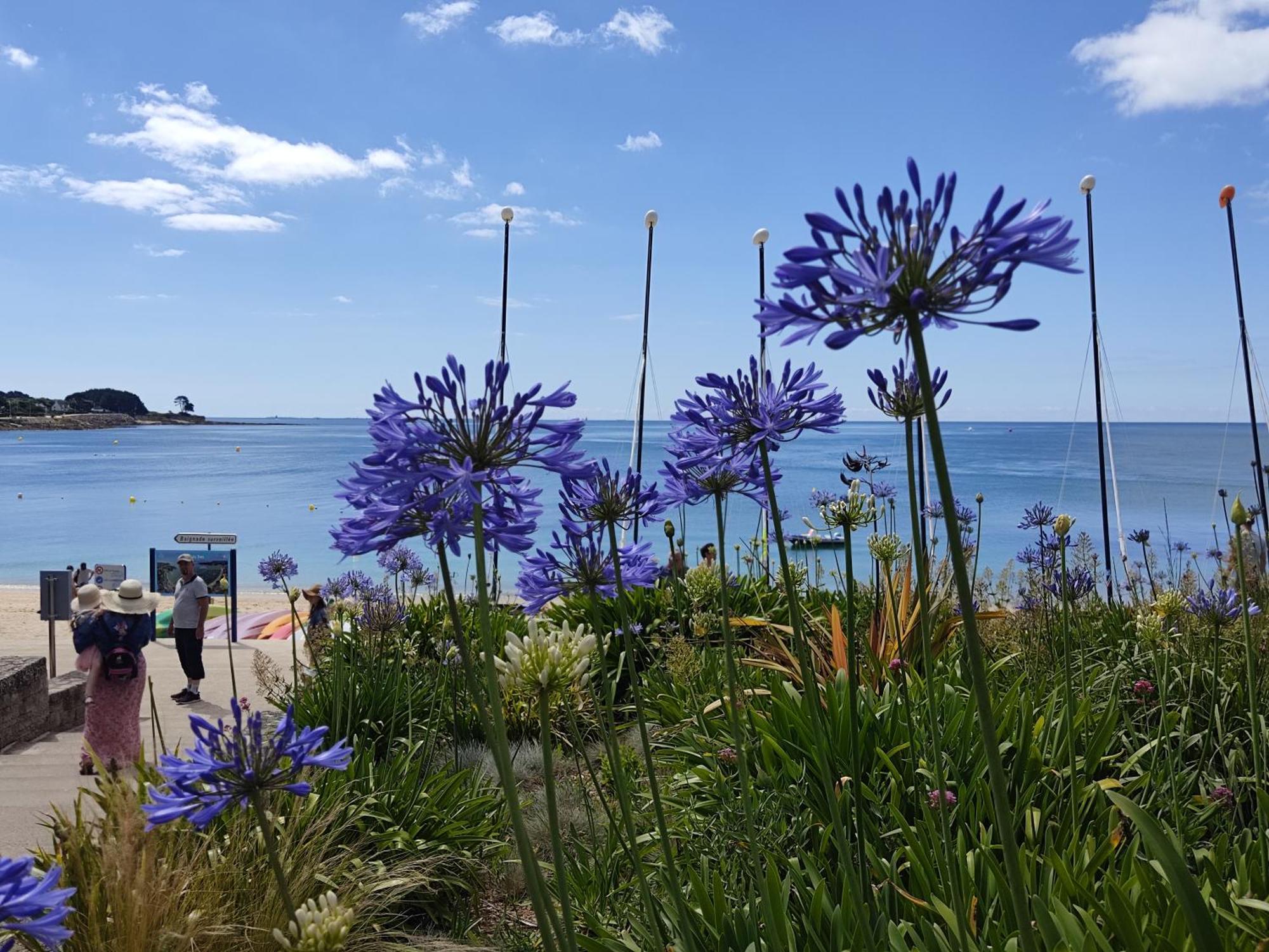 Camping De La Plage Benodet - 400 Metres De La Plage ภายนอก รูปภาพ